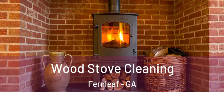 Wood Stove Cleaning Fernleaf - GA