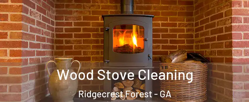Wood Stove Cleaning Ridgecrest Forest - GA