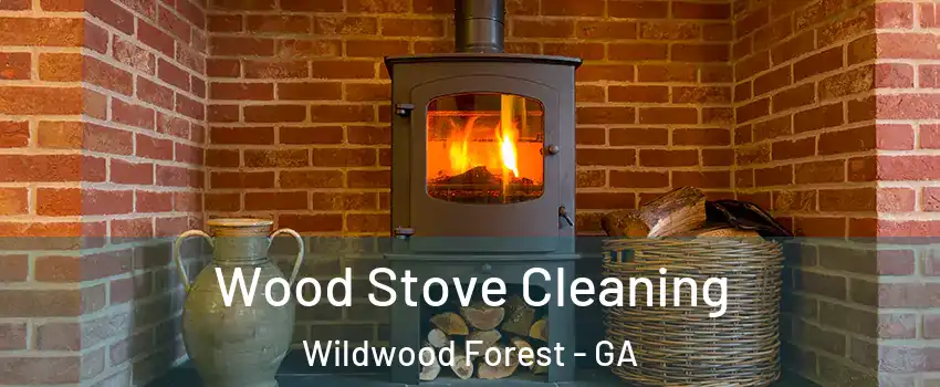 Wood Stove Cleaning Wildwood Forest - GA