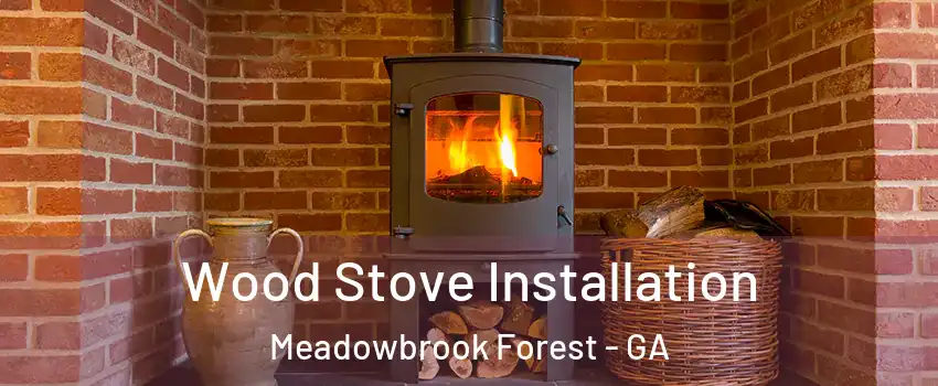 Wood Stove Installation Meadowbrook Forest - GA