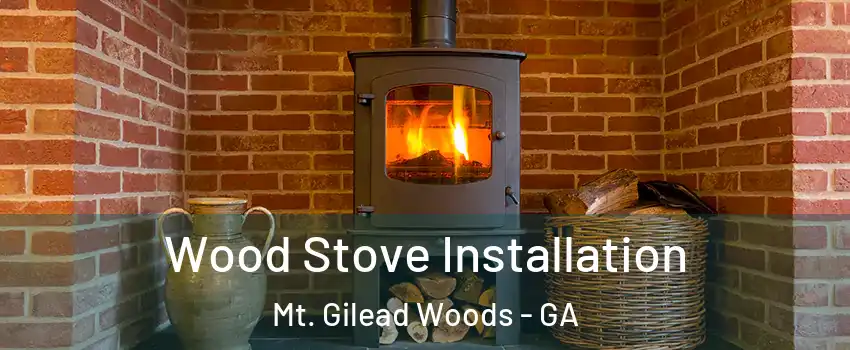 Wood Stove Installation Mt. Gilead Woods - GA