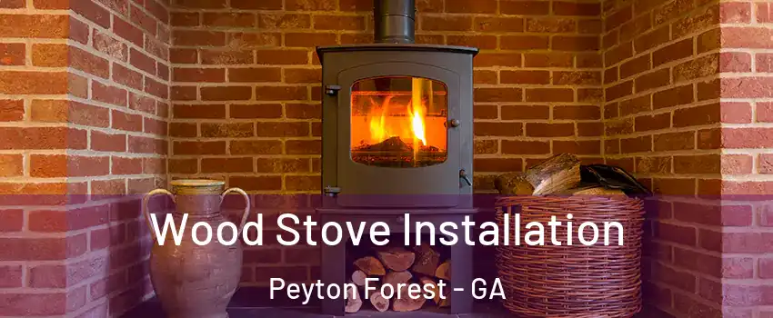 Wood Stove Installation Peyton Forest - GA