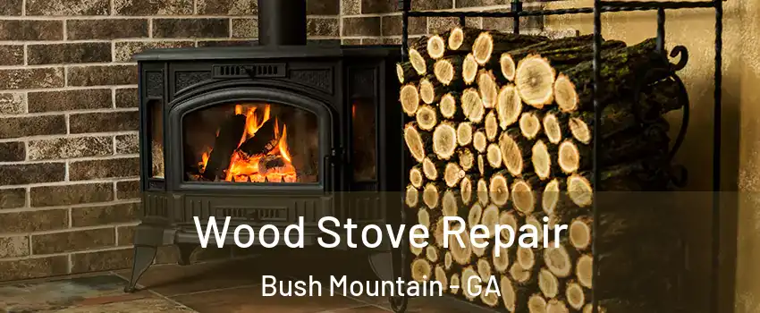 Wood Stove Repair Bush Mountain - GA