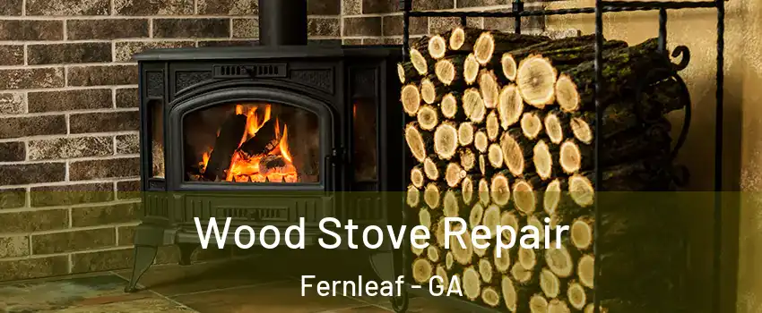 Wood Stove Repair Fernleaf - GA