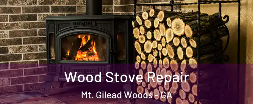 Wood Stove Repair Mt. Gilead Woods - GA