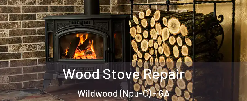 Wood Stove Repair Wildwood (Npu-C) - GA